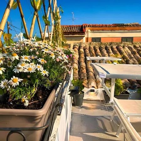 Tatil Evi Msuite Etna Sicily Macchia